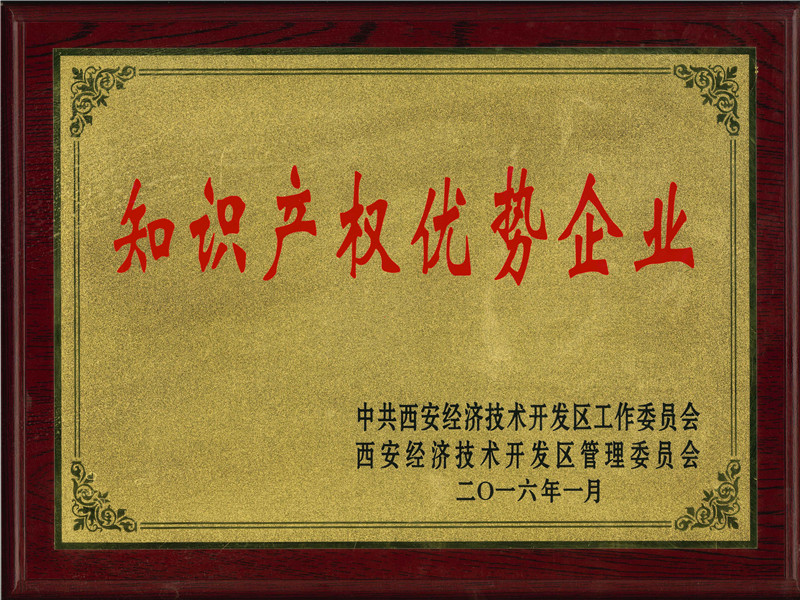 知識產(chǎn)權(quán)優(yōu)勢企業(yè)